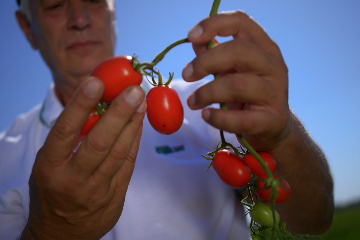 VIDEO_BG_Balkan.00_02_52_12.Still068.jpg