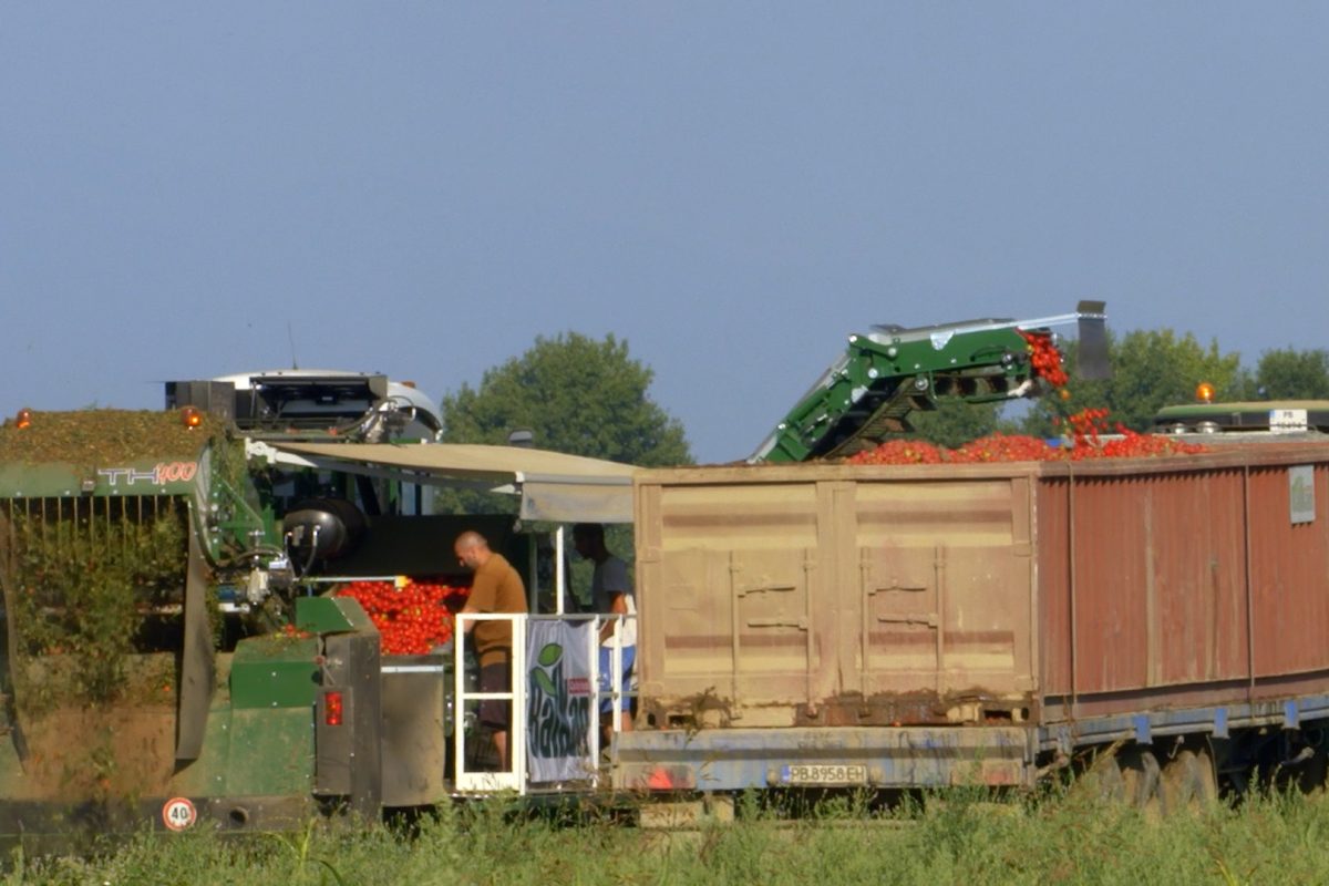 VIDEO_BG_Balkan.00_03_27_14.Still082.jpg